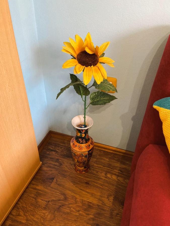 Apartment David Trsce Dış mekan fotoğraf